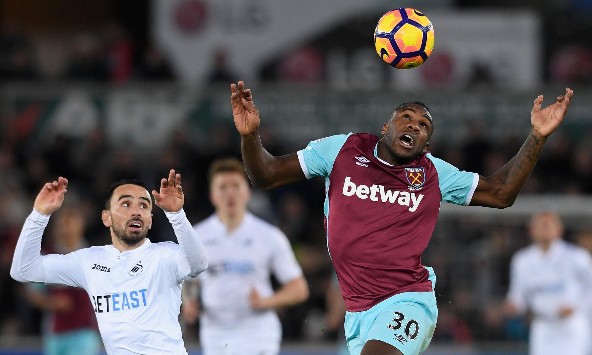 大量粉丝的 大量粉丝的